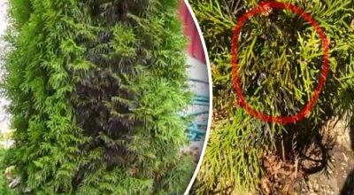 Фото новини