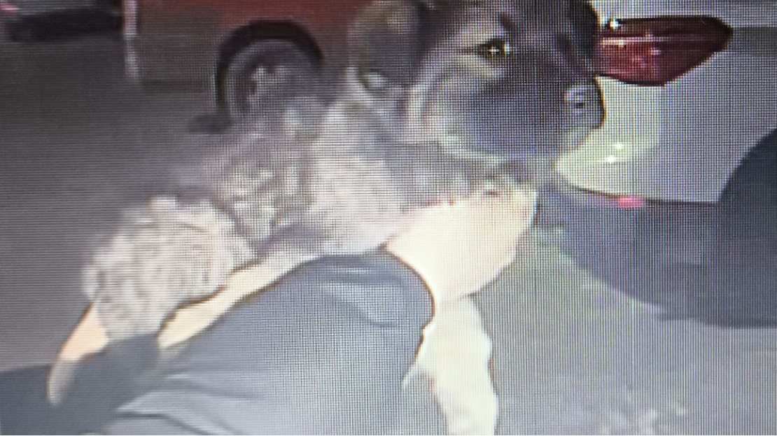 Фото новини