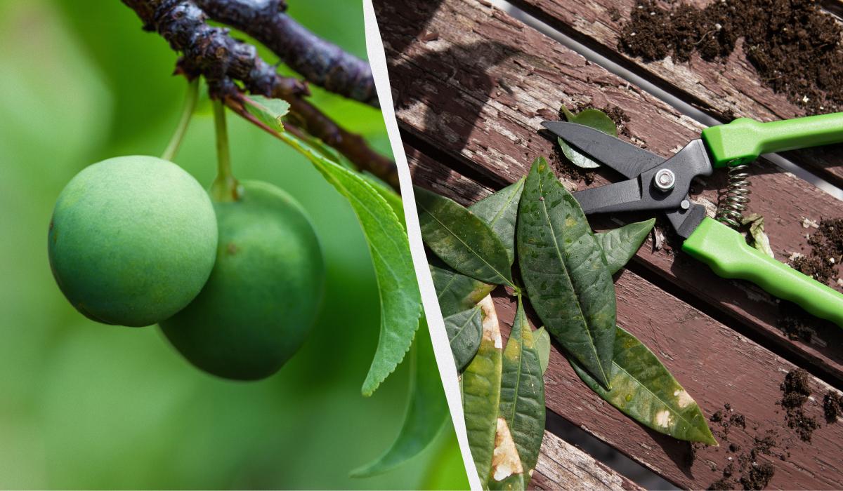 Фото новини