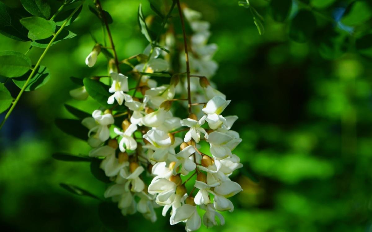 Фото новини