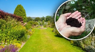 Фото новини