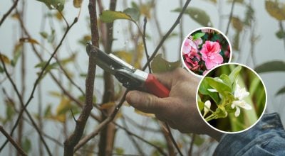 Фото новини