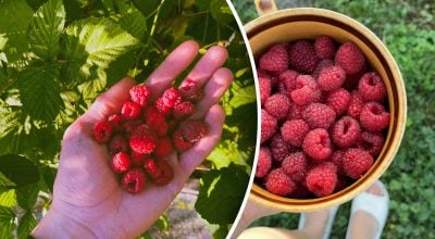 Фото новини