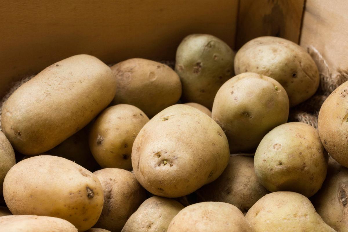 Фото новини