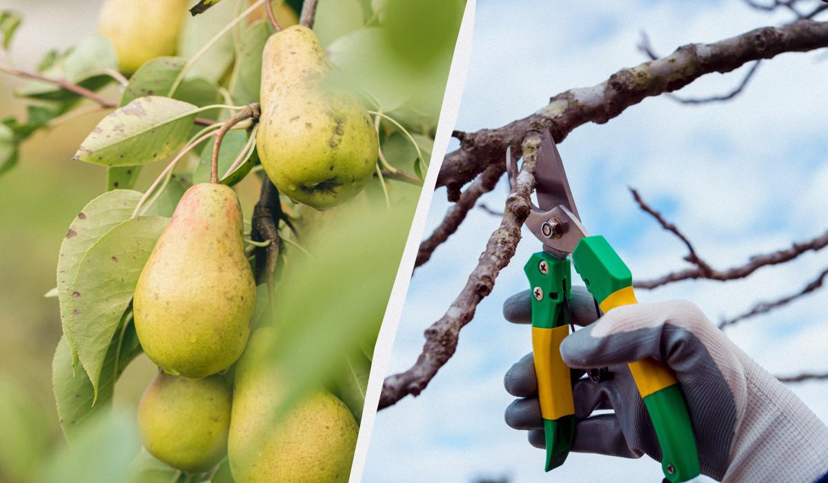 Фото новини