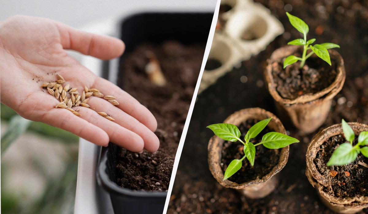 Фото новини