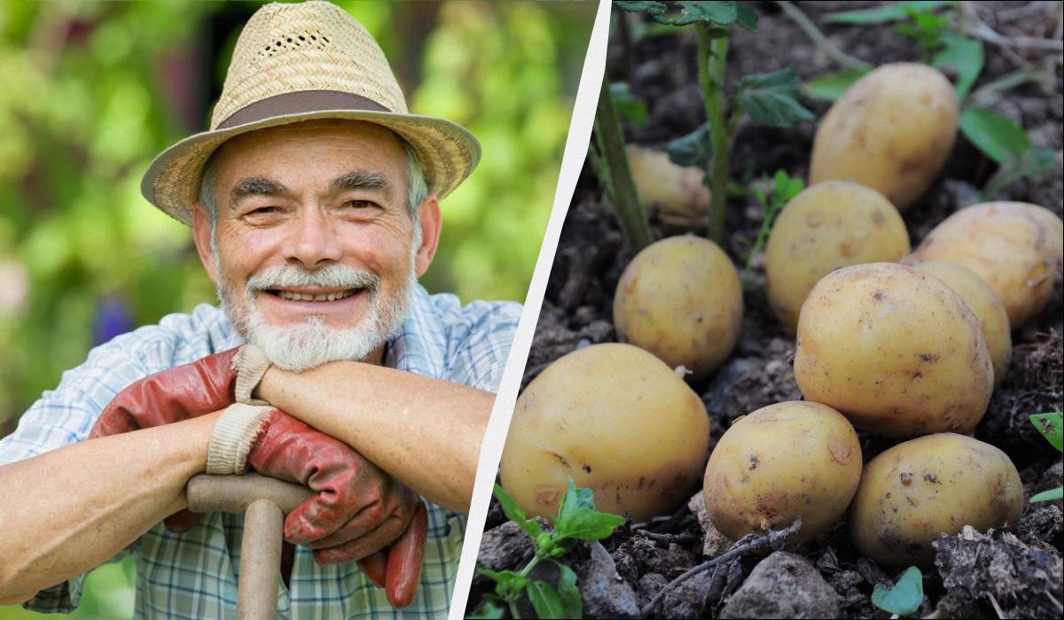 Фото новини