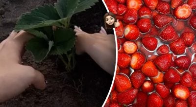 Фото новини