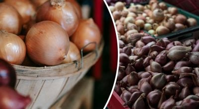 Фото новини