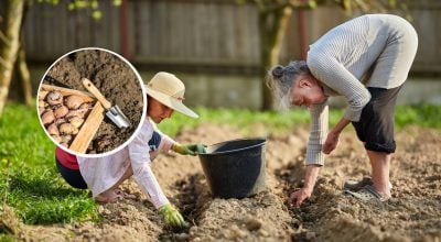 Фото новини