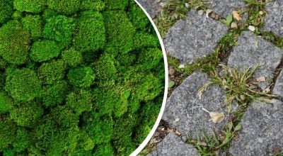 Фото новини