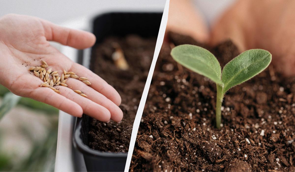 Фото новини