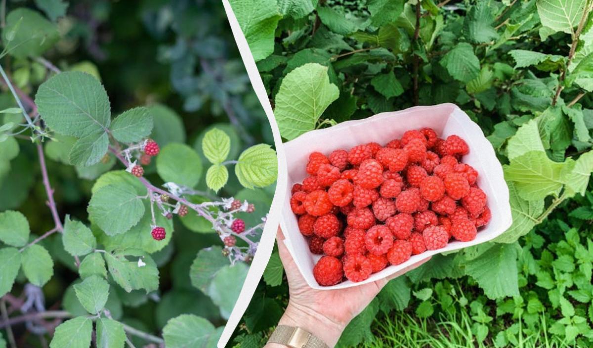 Фото новини