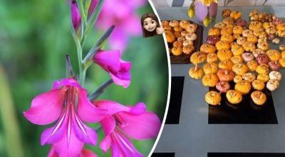 Фото новини