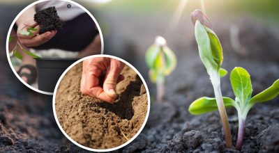 Фото новини