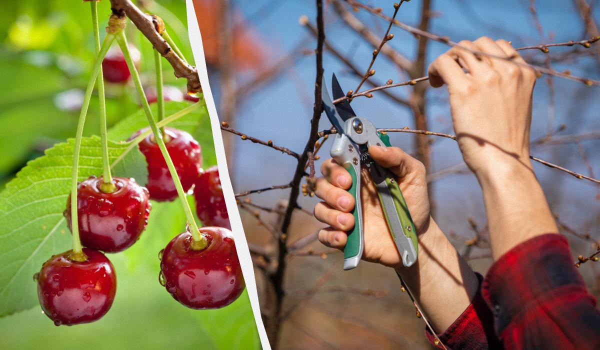 Фото новини