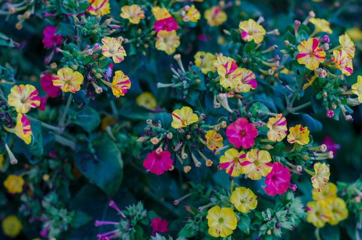 Фото новини