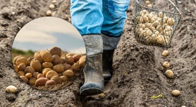 Фото новини