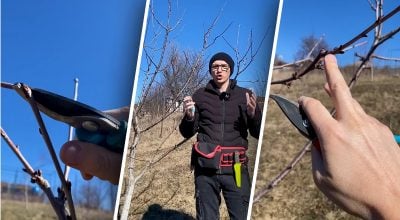 Фото новини