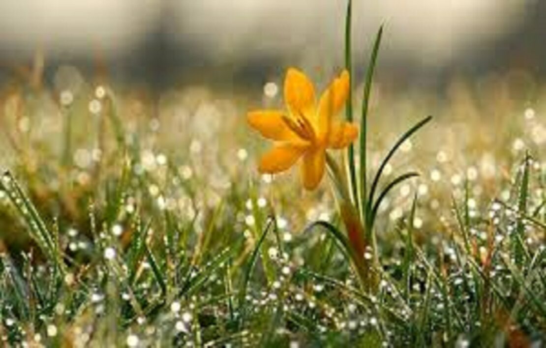 Фото новини