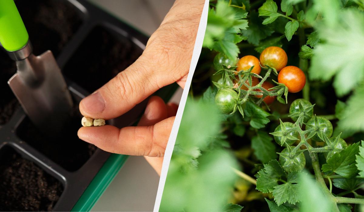 Фото новини