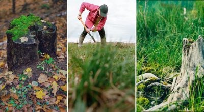 Фото новини