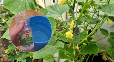 Фото новини