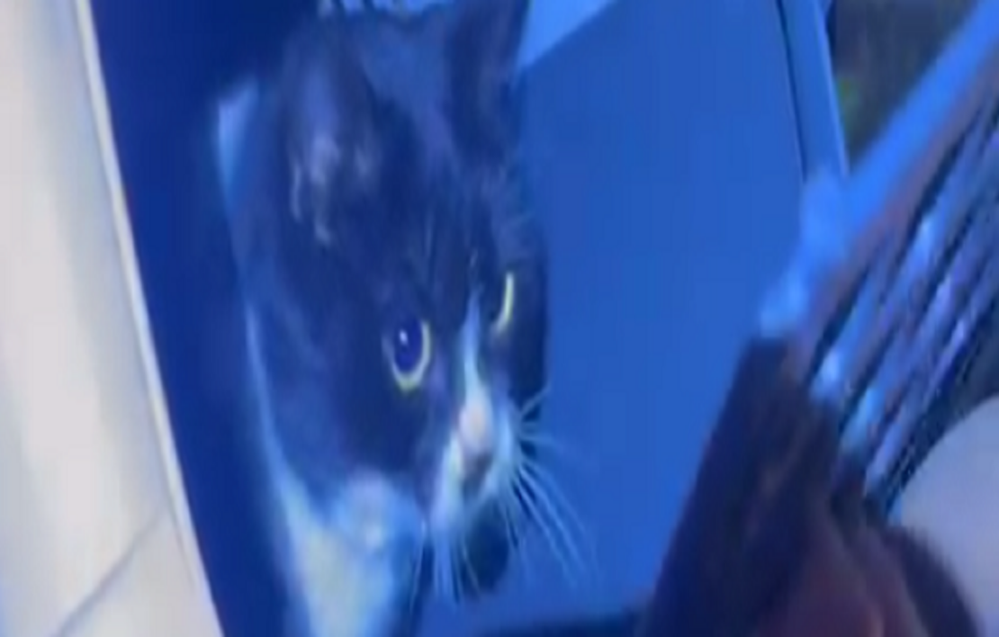 Фото новини