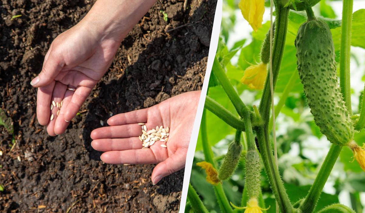 Фото новини