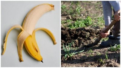 Фото новини