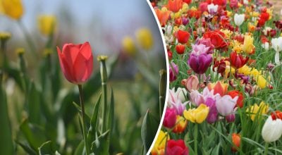 Фото новини