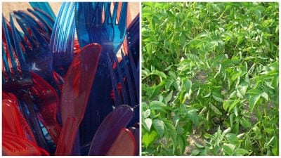 Фото новини