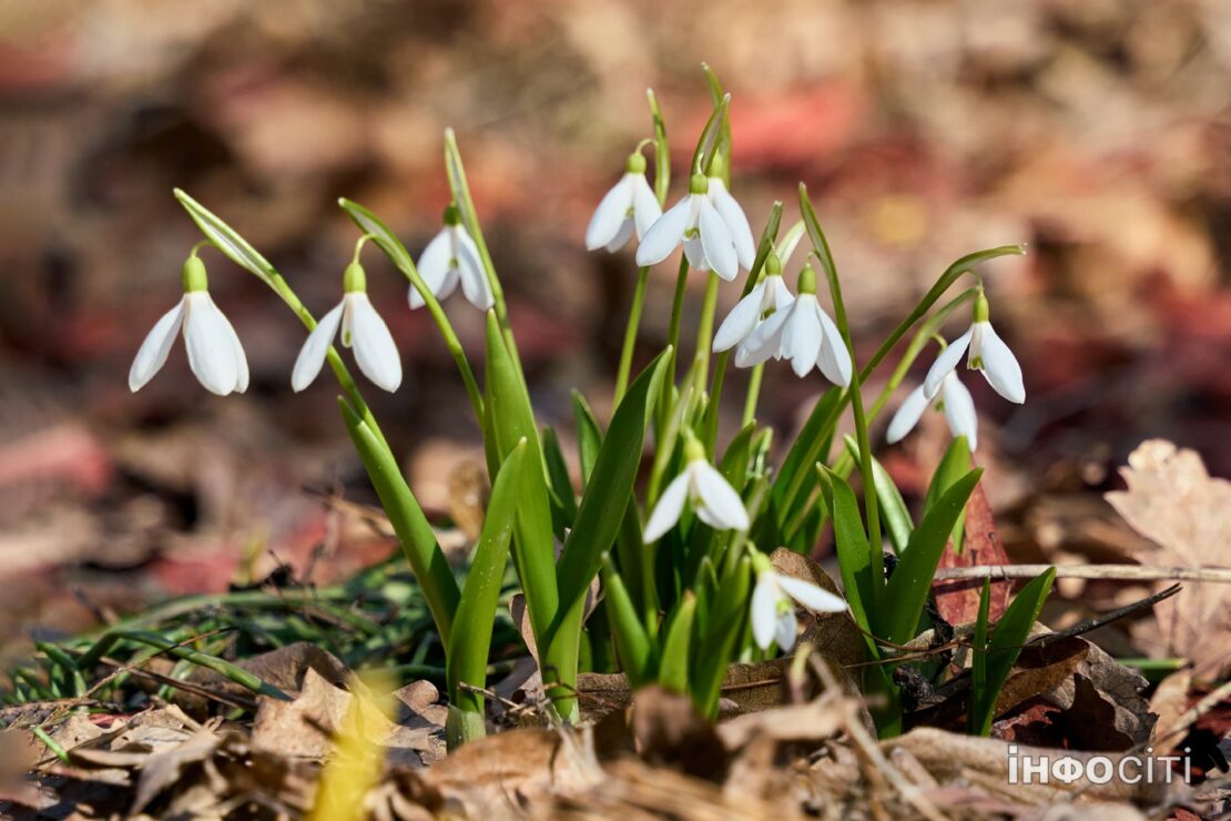 Фото новини