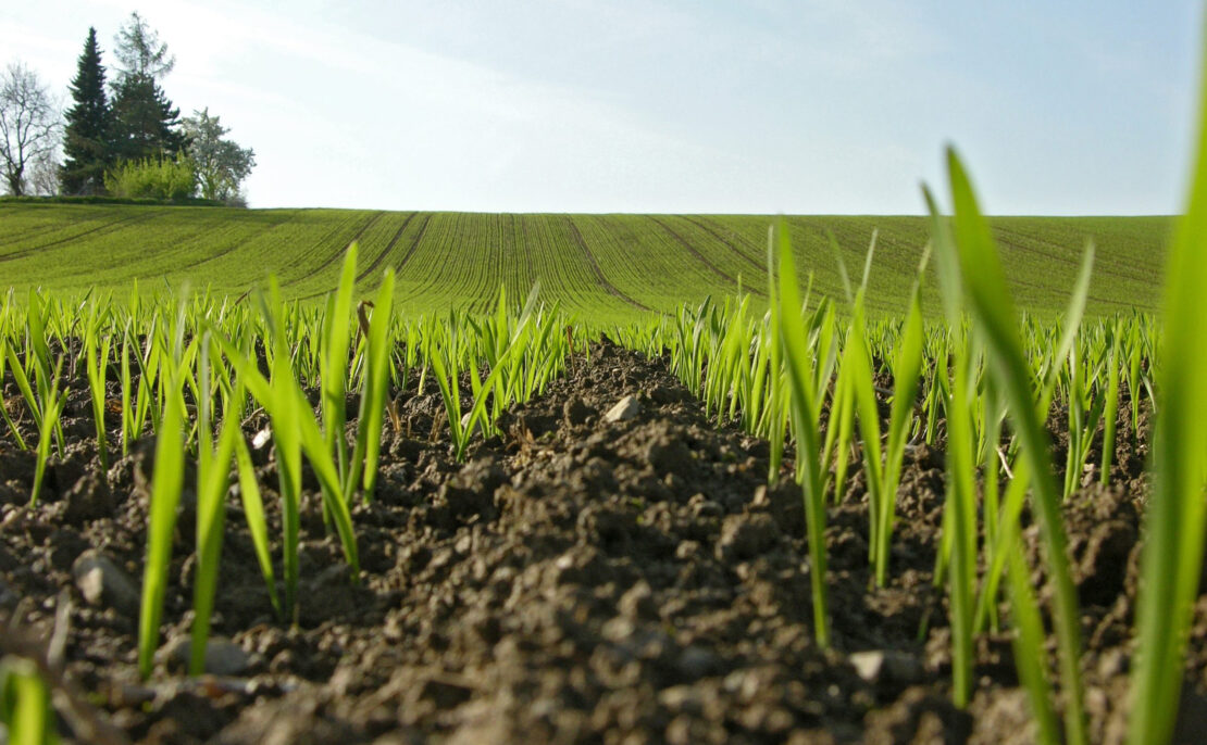 Фото новини