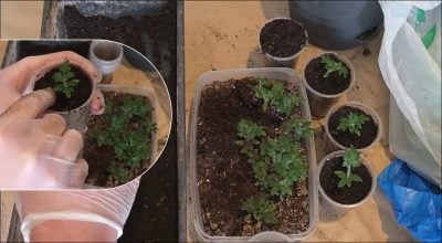 Фото новини