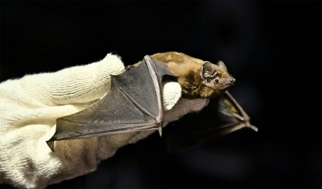 Фото новини