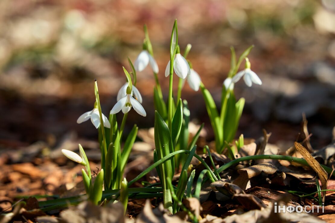 Фото новини