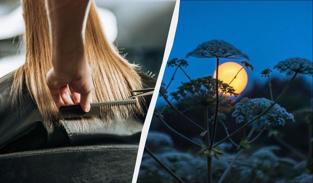 Фото новини