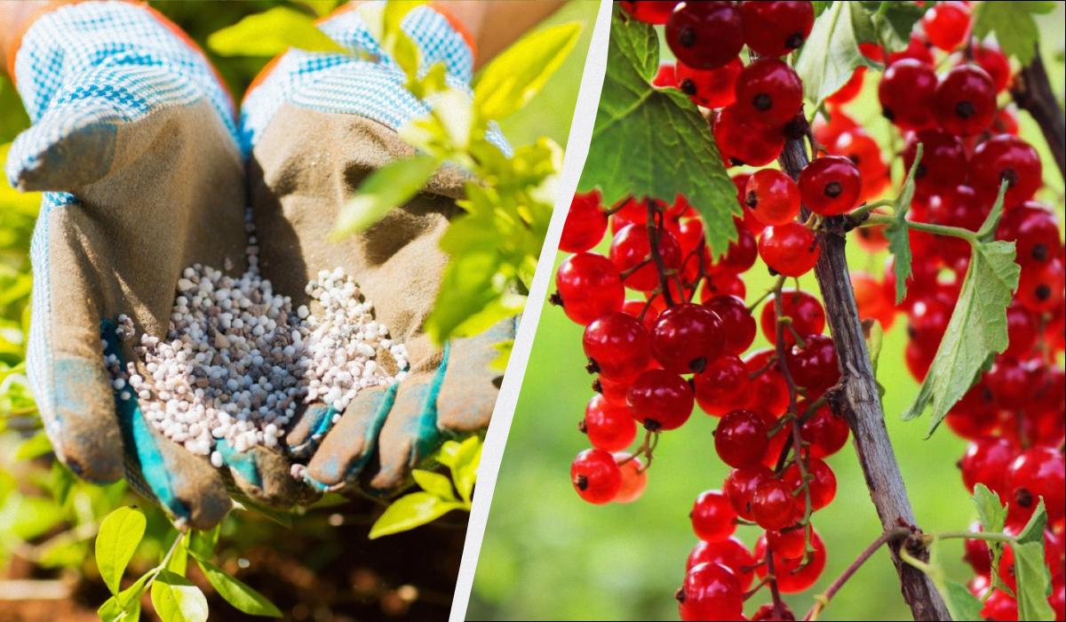 Фото новини