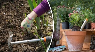 Фото новини