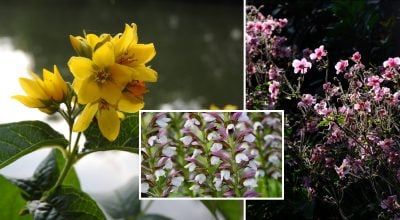 Фото новини