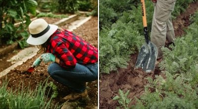 Фото новини