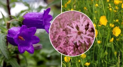 Фото новини