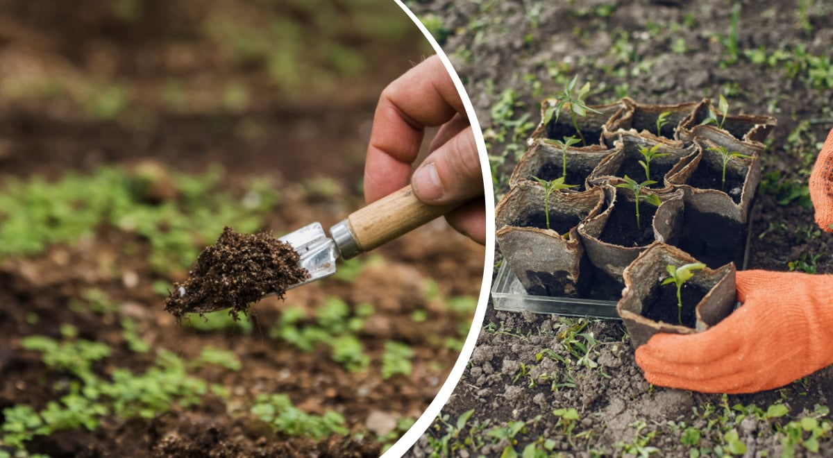 Фото новини