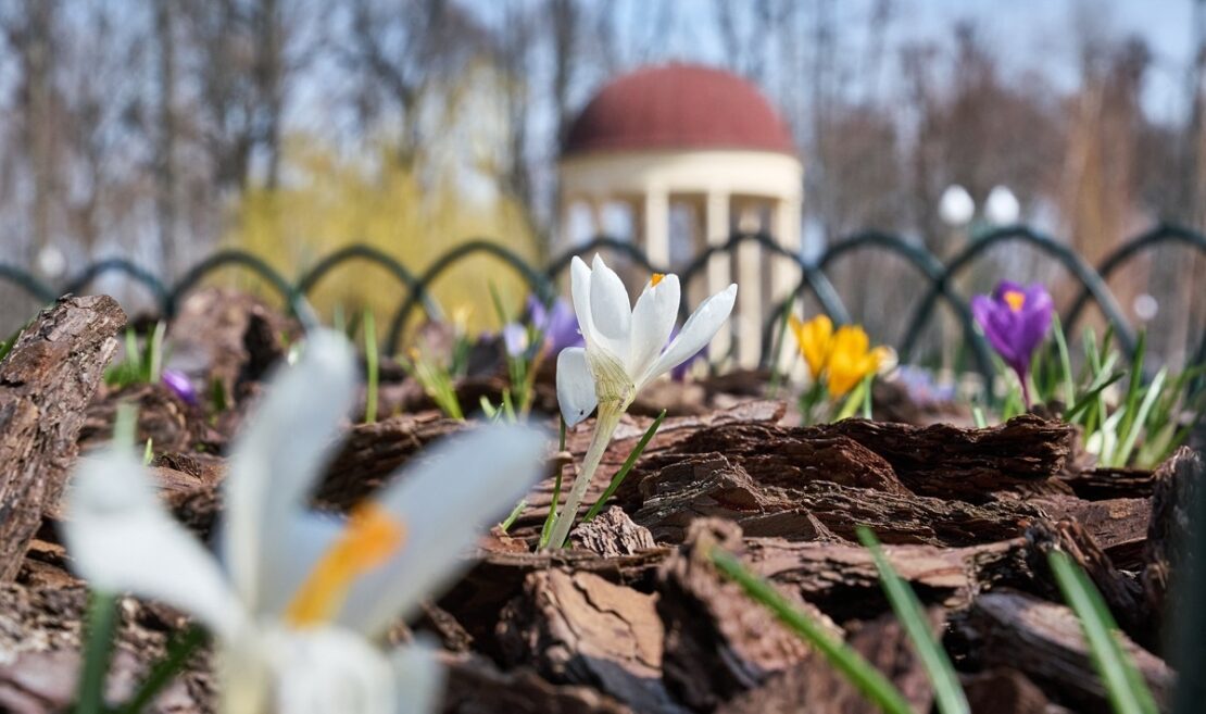 Фото новини