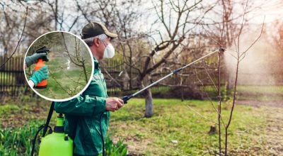 Фото новини