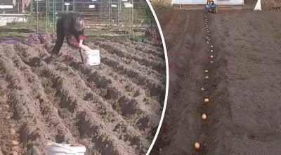 Фото новини