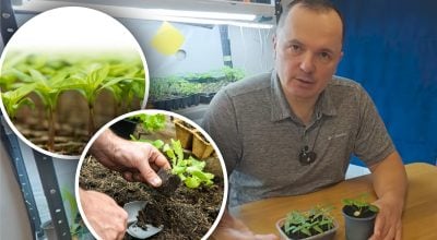 Фото новини