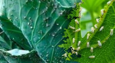 Фото новини