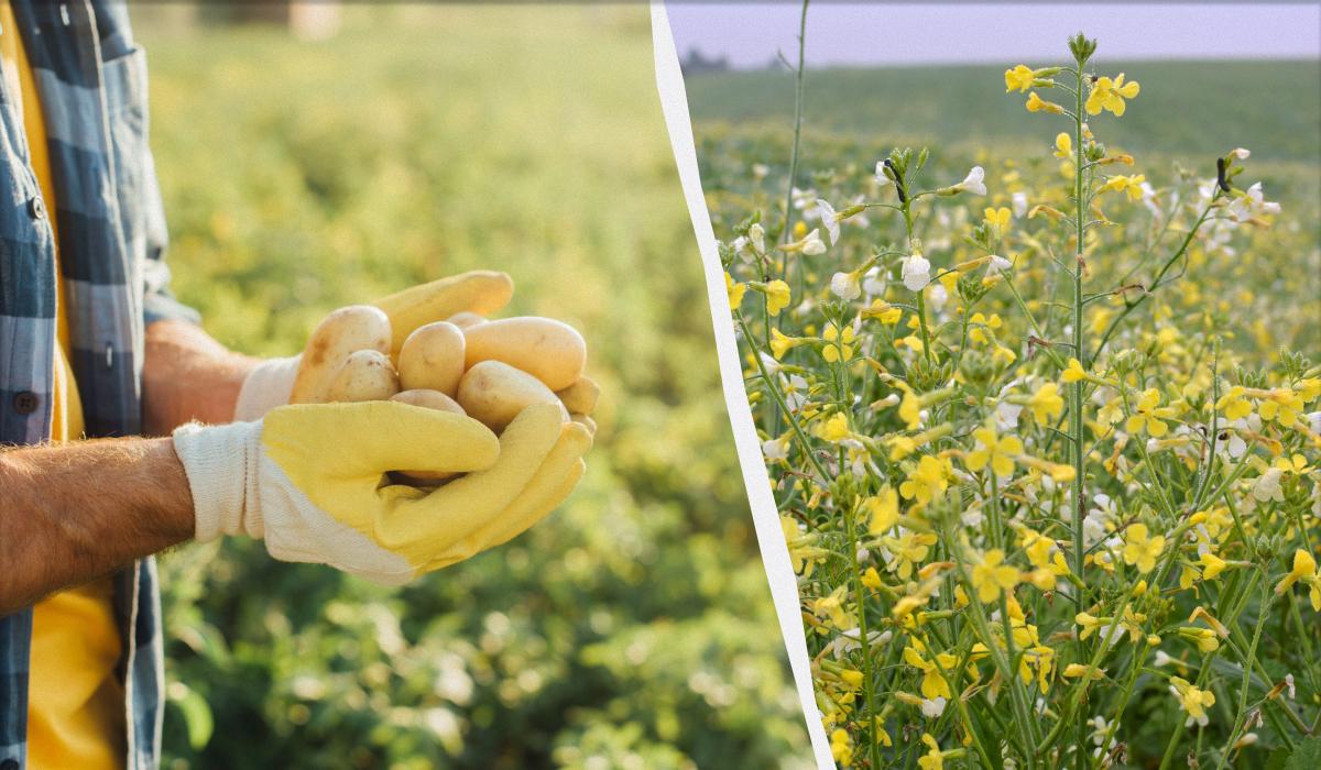 Фото новини